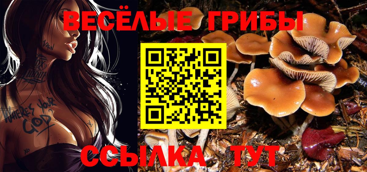 Галлюциногенные грибы мухоморы Борисоглебск