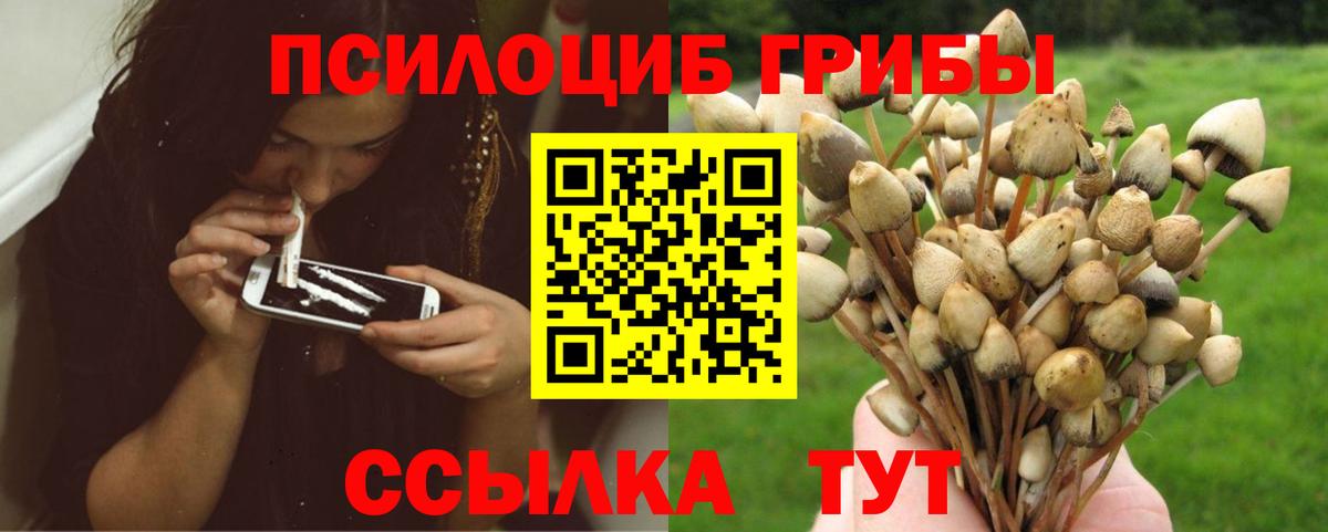 Псилоцибиновые грибы Cubensis  Вход с VPN  Псилоцибиновые грибы ЛСД  Борисоглебск 
